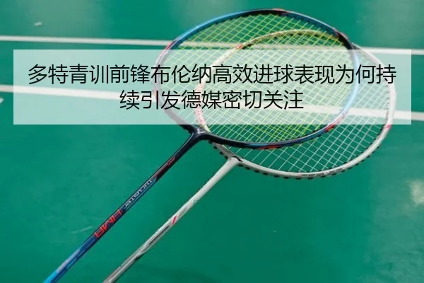 多特青训前锋布伦纳高效进球表现为何持续引发德媒密切关注